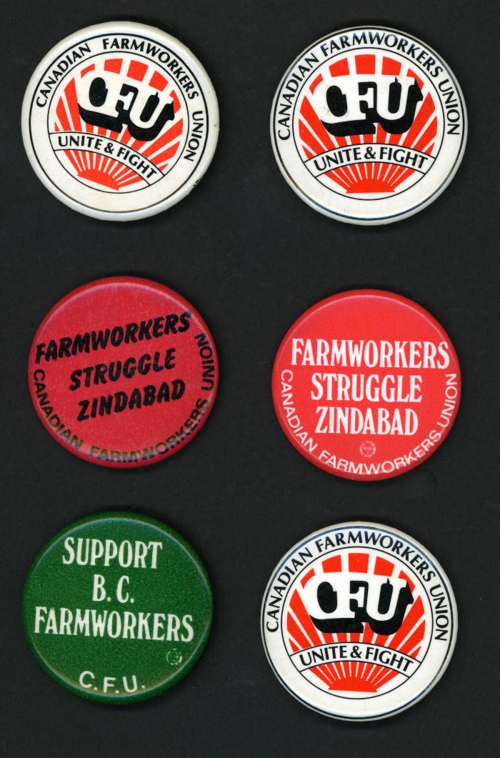 [Photo of a series of Canadian Farmworkers Union buttons]