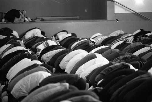 Rows of men and boys kneeling and prostrating on prayer mats, with one child looking up in the middle.