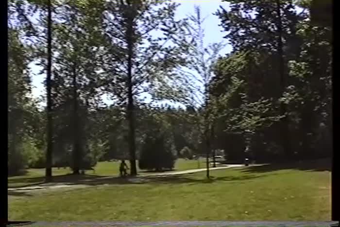 Scenes from South Asian Canadian life 1996