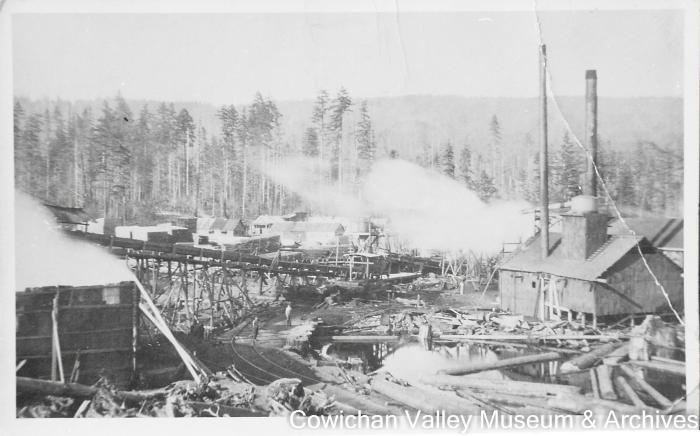 [Mayo Lumber Co. mill after being rebuilt]