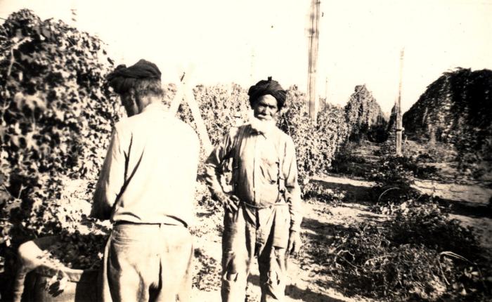 [Photo of two Sikh hop pickers, Chilliwack, BC]
