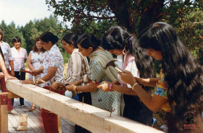 [Group photo of union women at a Local 1-80 picnic]