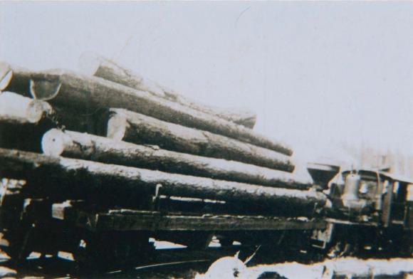 [Photo of the first logging train delivering a load to the mill in Paldi, B.C.]