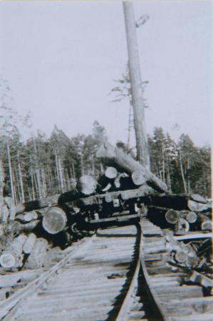 [Photo of a flat car being loaded with logs]