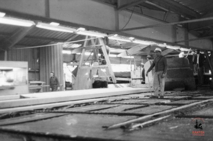 [Photo of lumber workers including Spotter Ranjit Karod and Bull Saw Operator Chuck Williams at Mayo Lumber in Nanaimo, B.C.]