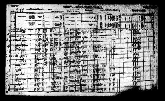 [1911 Census of Canada, Gerrard, B.C.]