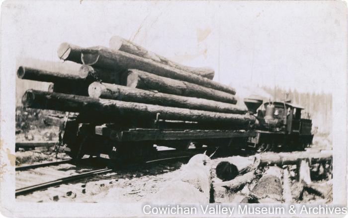 The first logging train delivering a load to the mill in 1919