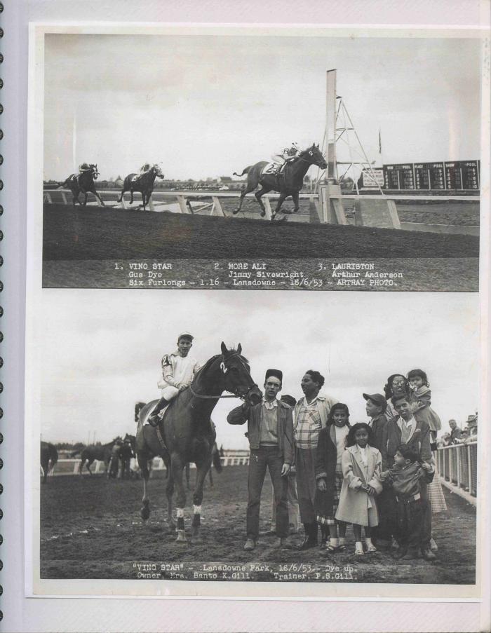 [Photos of Vino Star from the race on June 18, 1953]