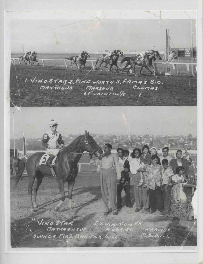 [Photos of Vino Star from the race on August 9, 1951]