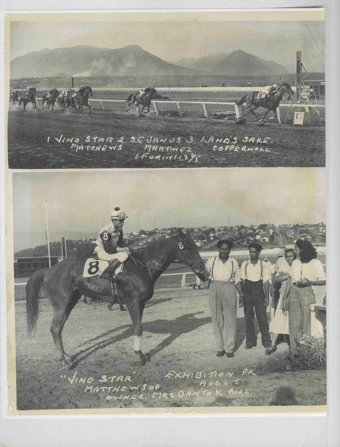 [Photos of Vino Star from the race on August 6, 1951]