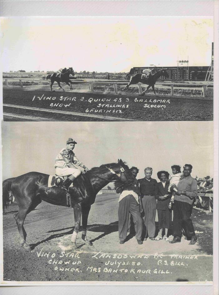 [Photos of Vino Star from the race on July 21, 1950]