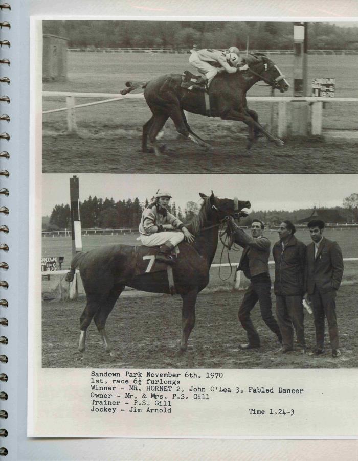 [Photos of Mr. Hornet from the race on November 6, 1970]