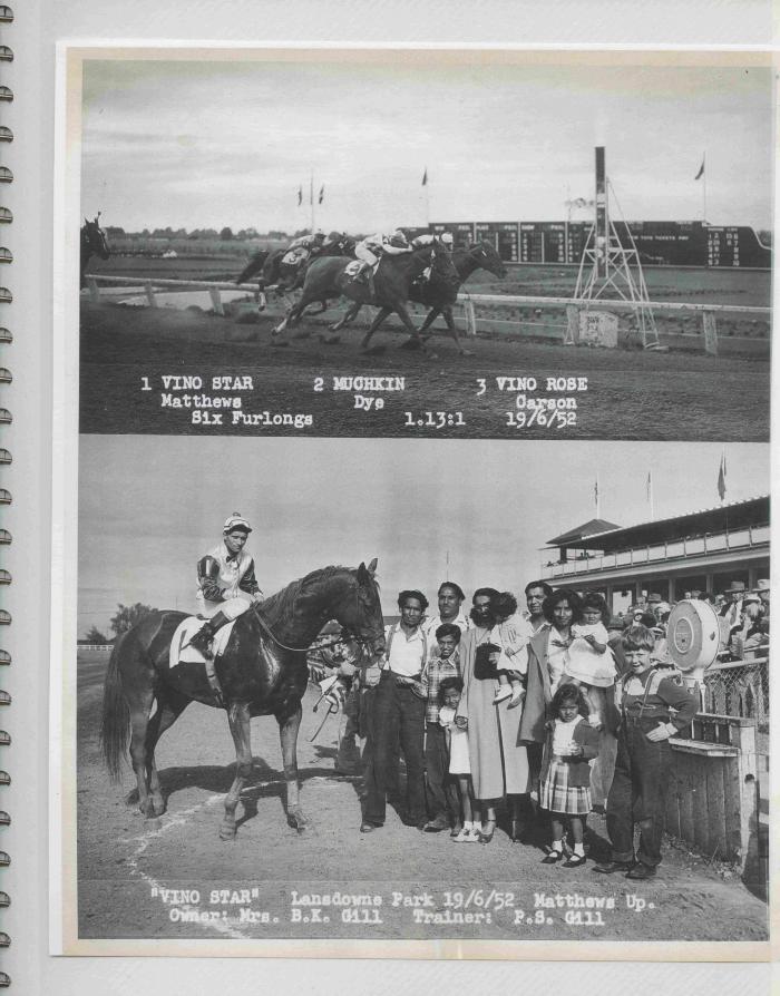 [Photos of Vino Star from the race on June 19, 1952]