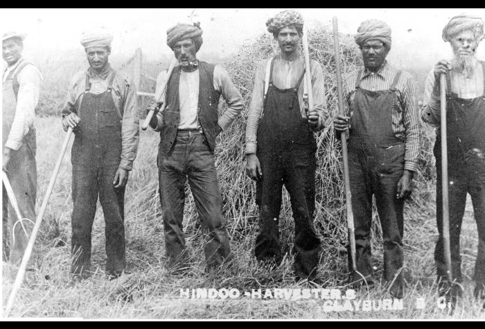 [Sikh] harvesters