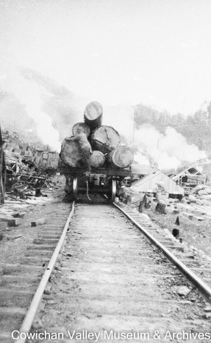 [Railroad car carrying large logs]