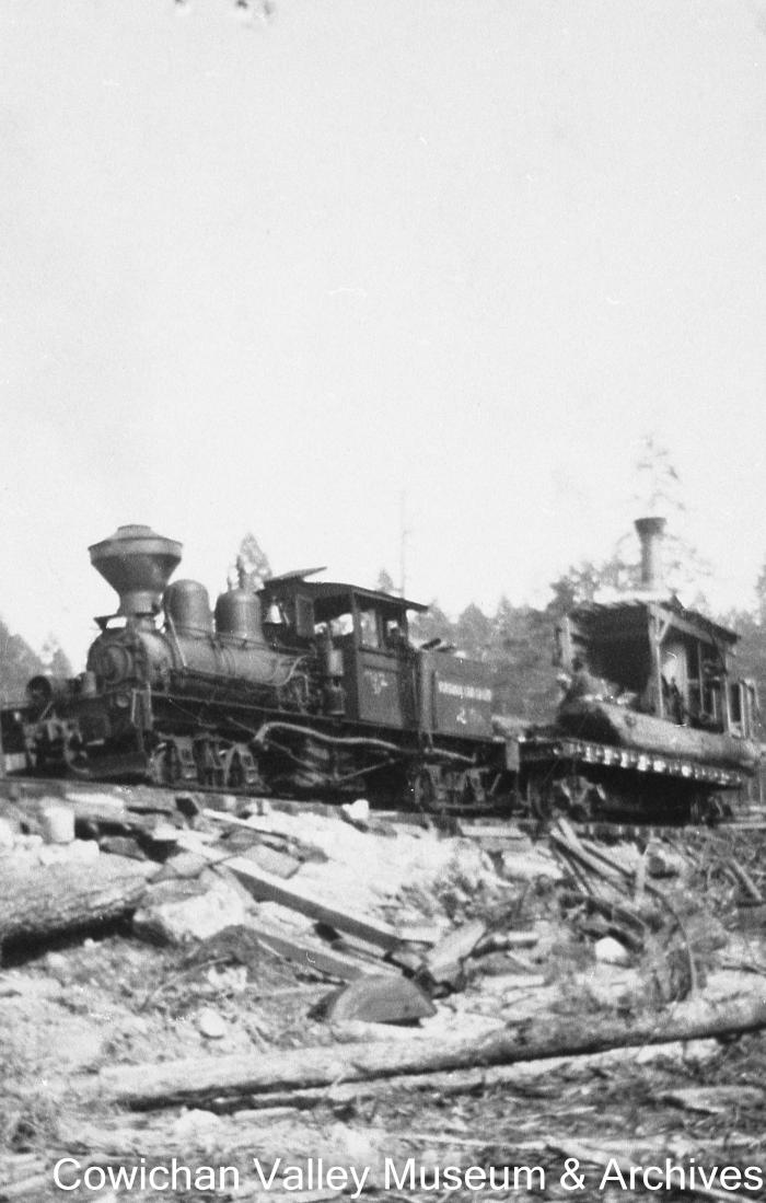 [Railroad locomotive passing through cutover lands]