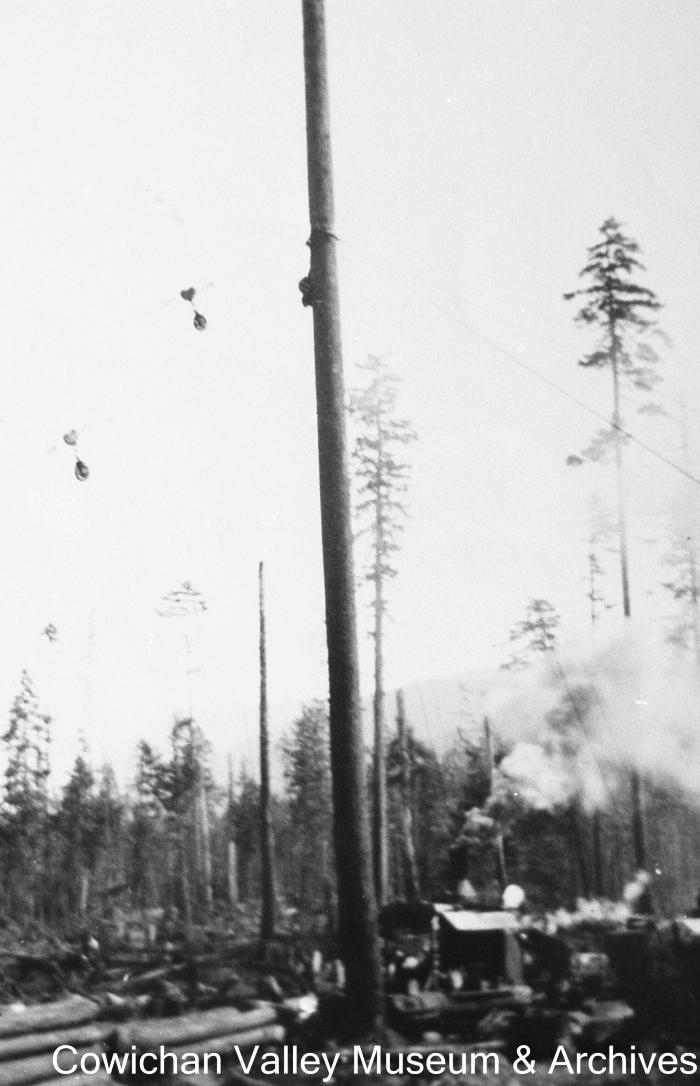 [Large utility pole near a diesel donkey]