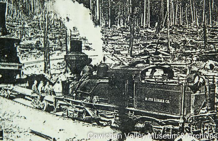 [Mayo Lumber Co. railroad locomotive]