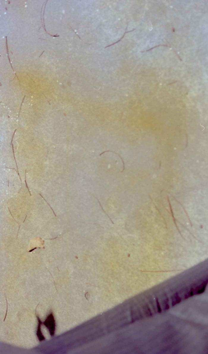 [Photo of the floor]