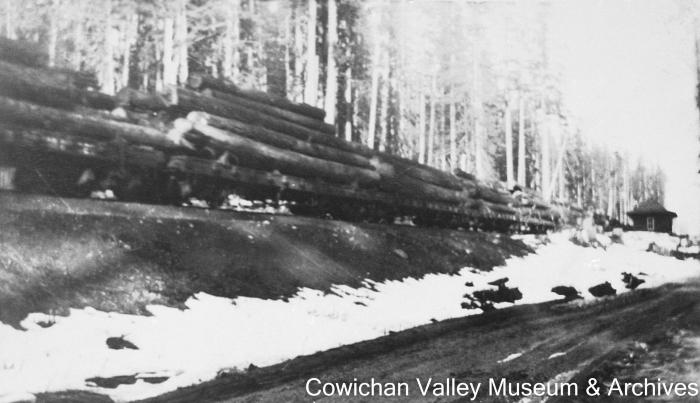[Railcar transporting logs in the winter]