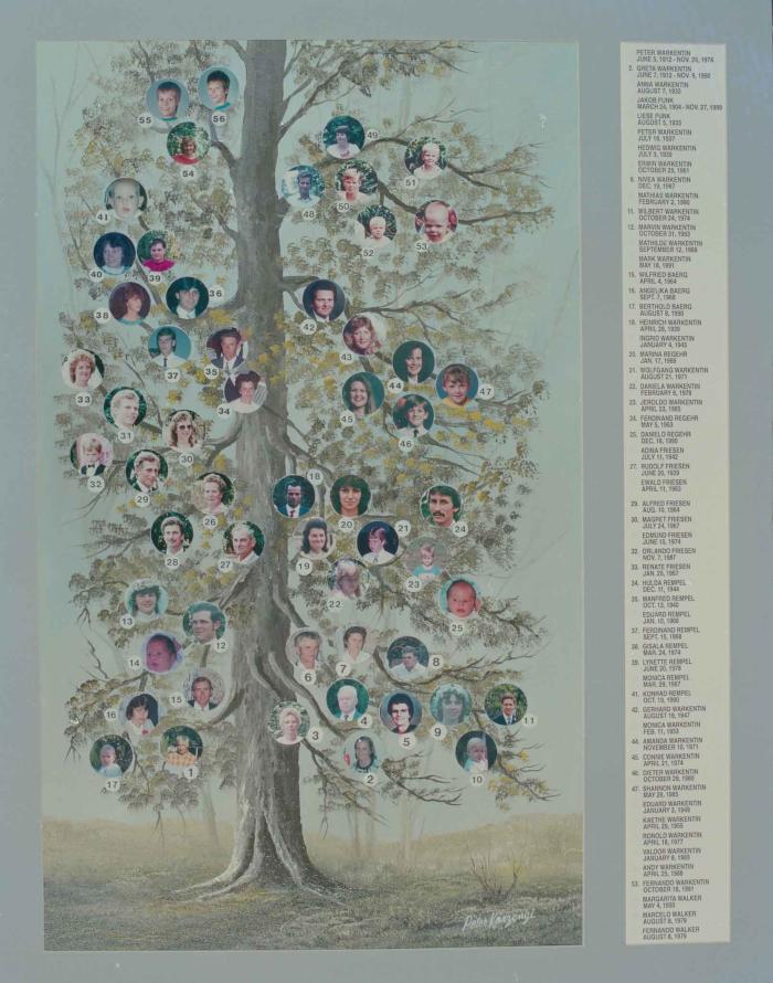[Photo of a family tree]