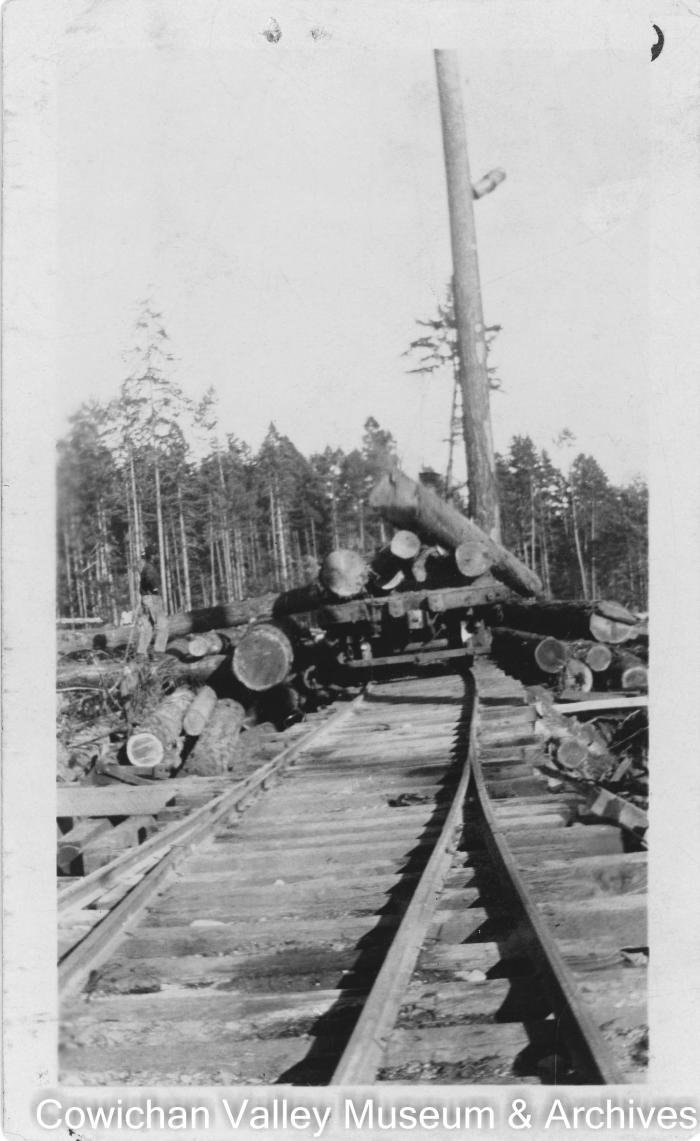 Logs being loaded on flat car