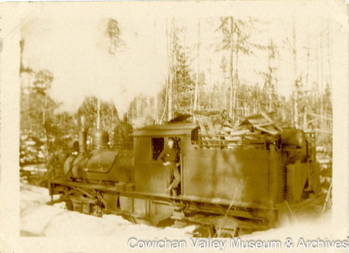 One of the Mayo Company trains :  a wood burner